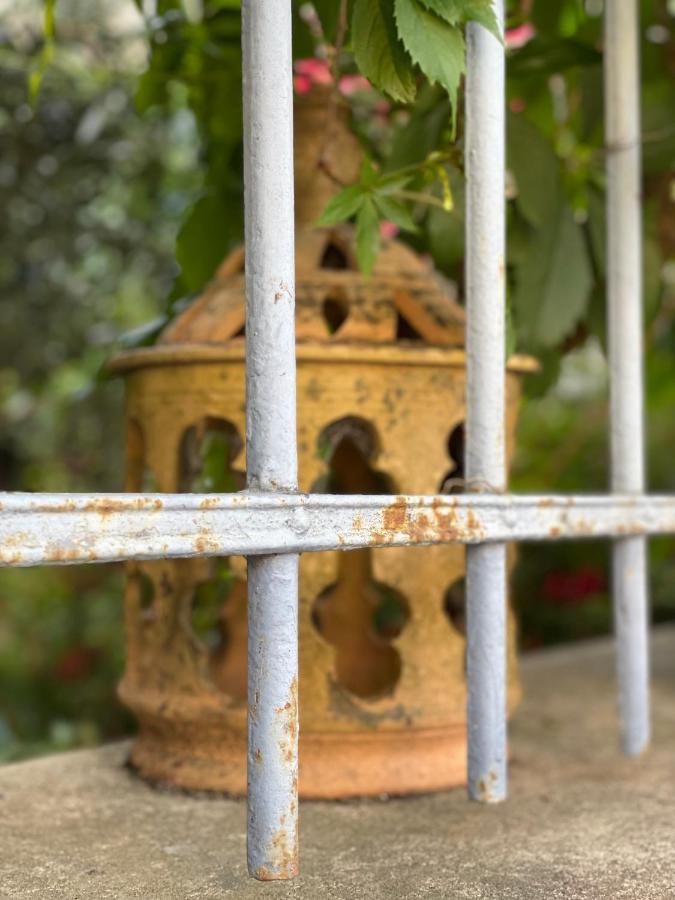 Le Petit Lore * Sainte-Suzanne (Mayenne)
